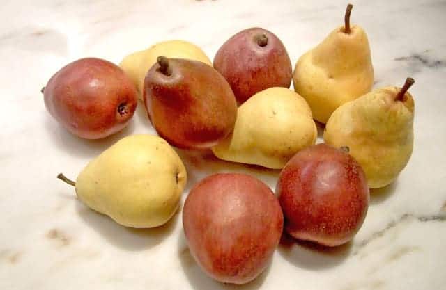Pear and Apple Chutney