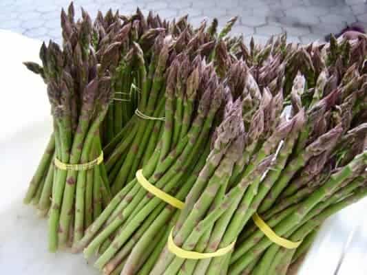 ASPARAGUS: HOW TO BUY, STORE, AND COOK THE FIRST VEGETABLE OF SPRING