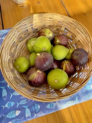 FIGS FIVE WAYS…BUT BETTER HURRY!