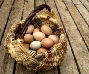 Woven basket filled with brown eggs and one pale blue egg on a weathered wooden deck surface.