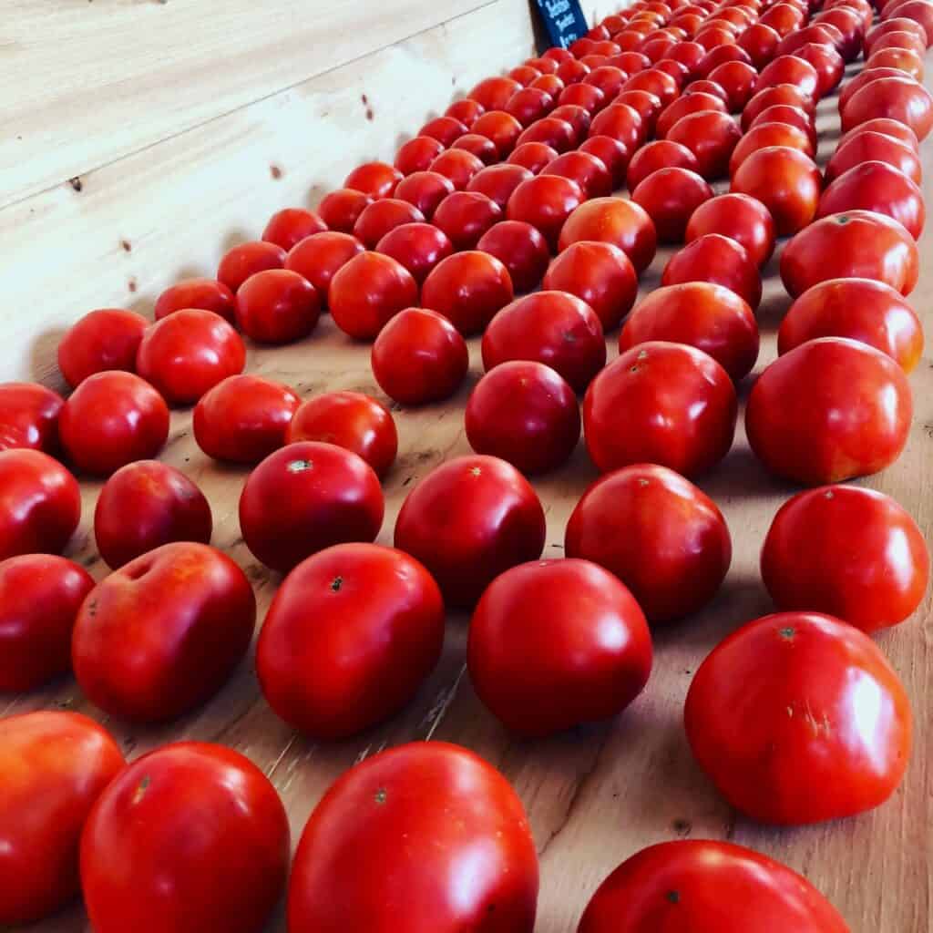 Rows of red tomatoes lined up in neat rows on a wooden surface in a market-style display.